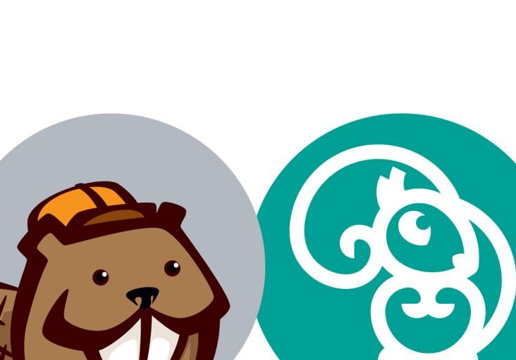 BeaverBuilder-Pagebuilder-infos